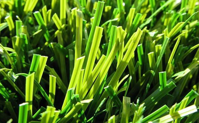 人造草與天然草區(qū)別