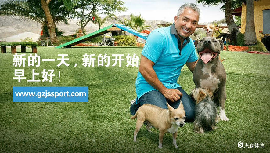 人造草坪加減震墊的效果達(dá)天然草坪?jiǎn)? title=